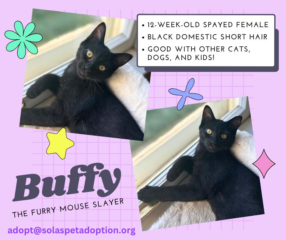 Buffy the Furry Mouse Slayer  --  (ab)