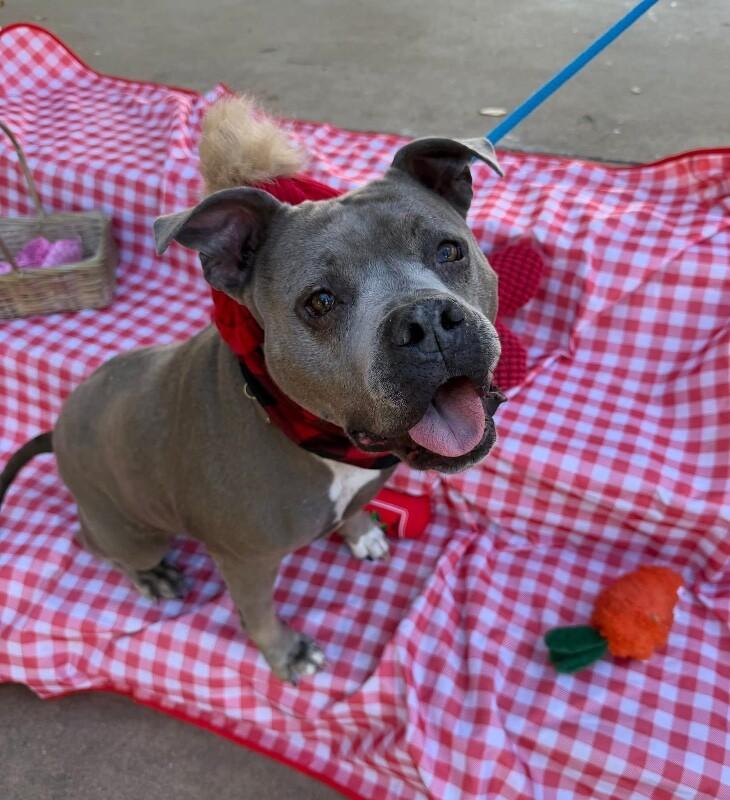 Tootsie Roll Your Happy Hippo — thumbnail 5