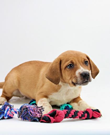 Gabriel — thumbnail 2