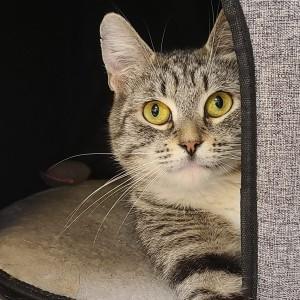 Treasure — thumbnail 2