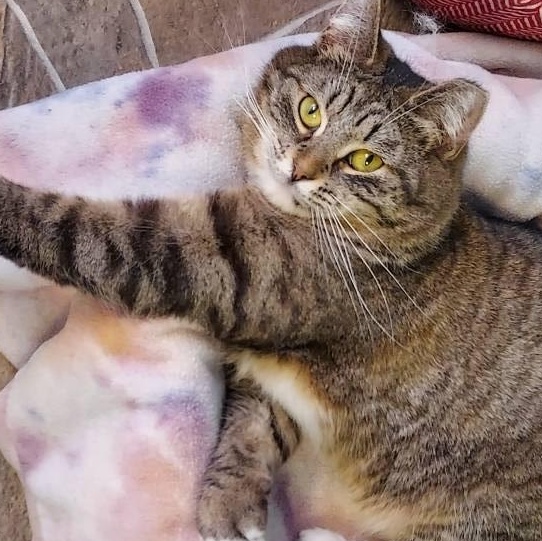 Treasure — thumbnail 3