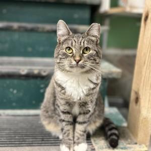 Treasure — thumbnail 5