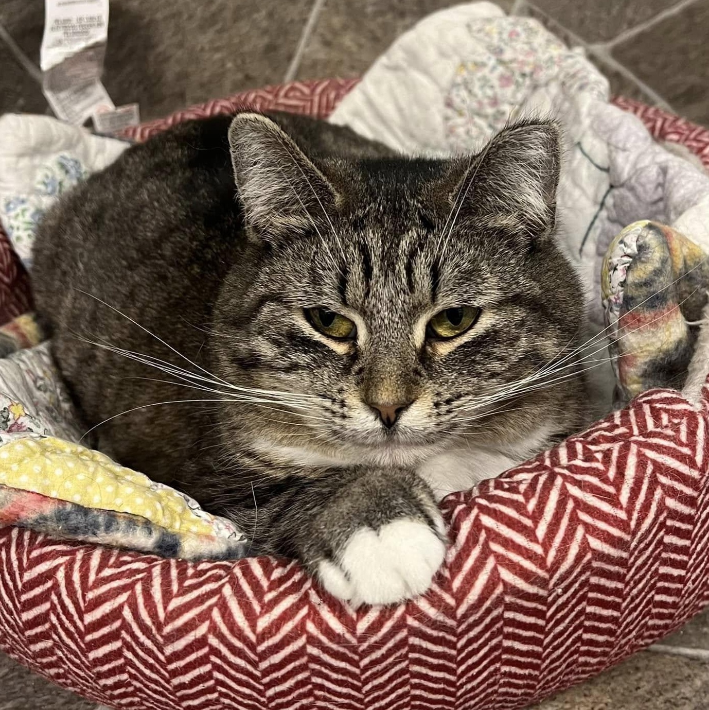 Treasure — thumbnail 6