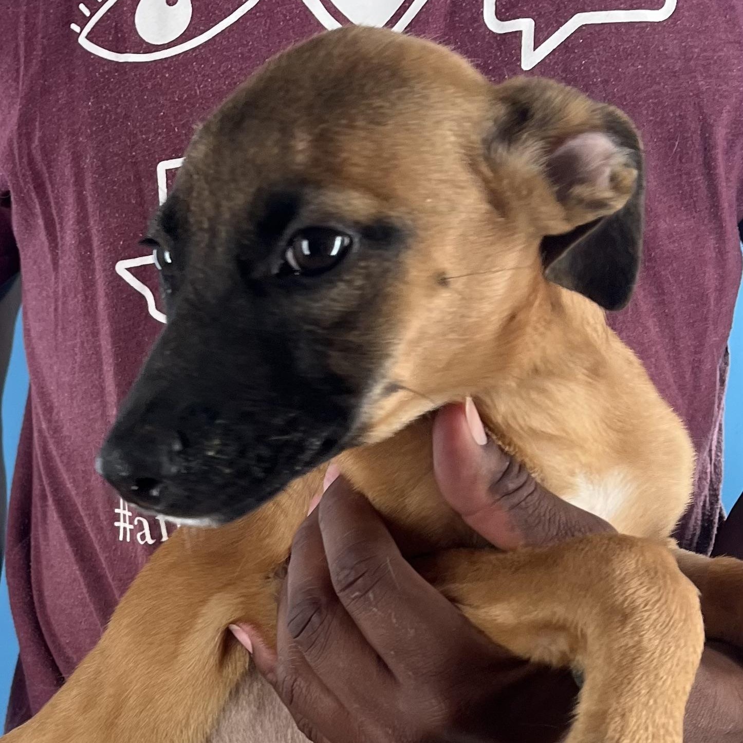 Splish - Local Setp 26-28