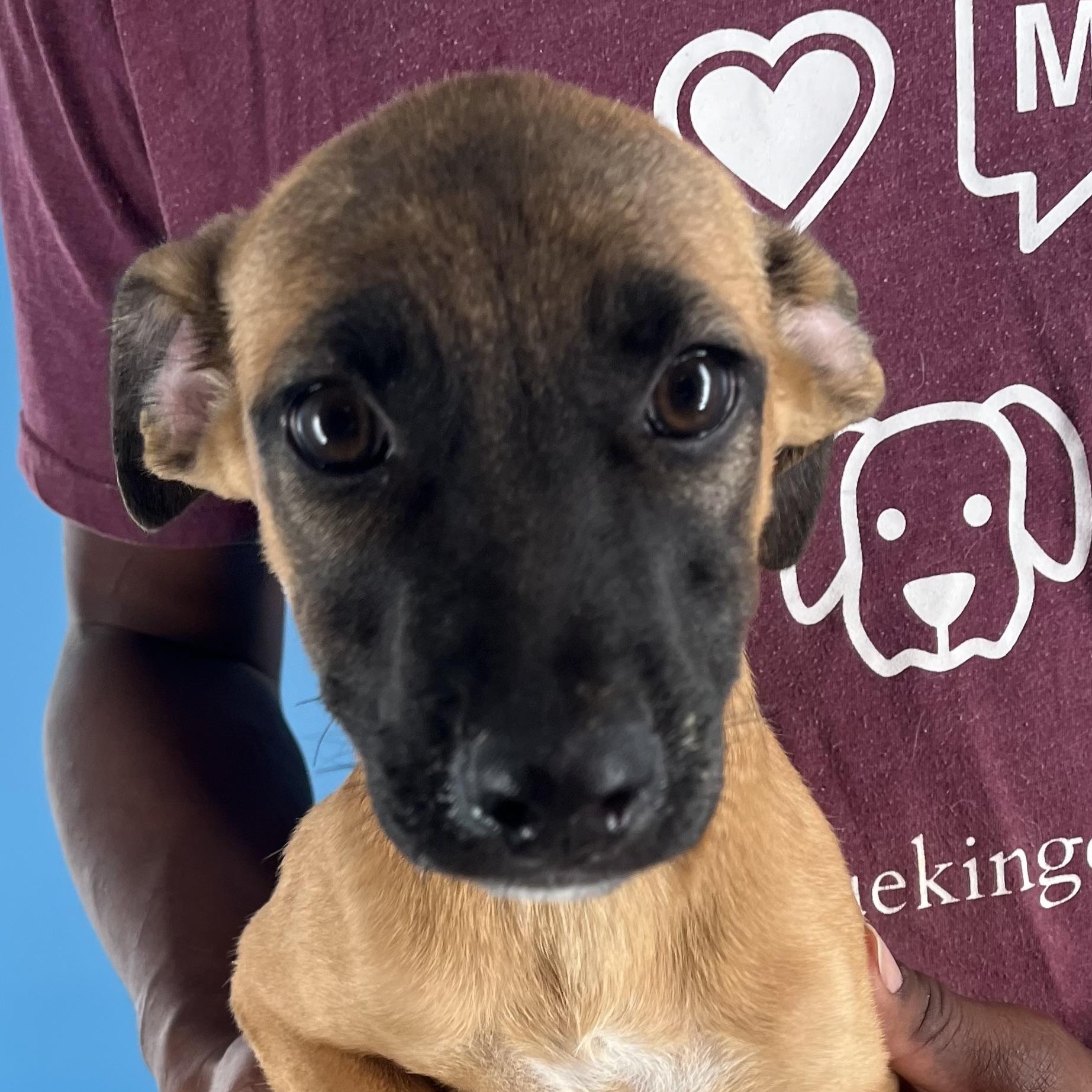 Splish - Local Setp 26-28