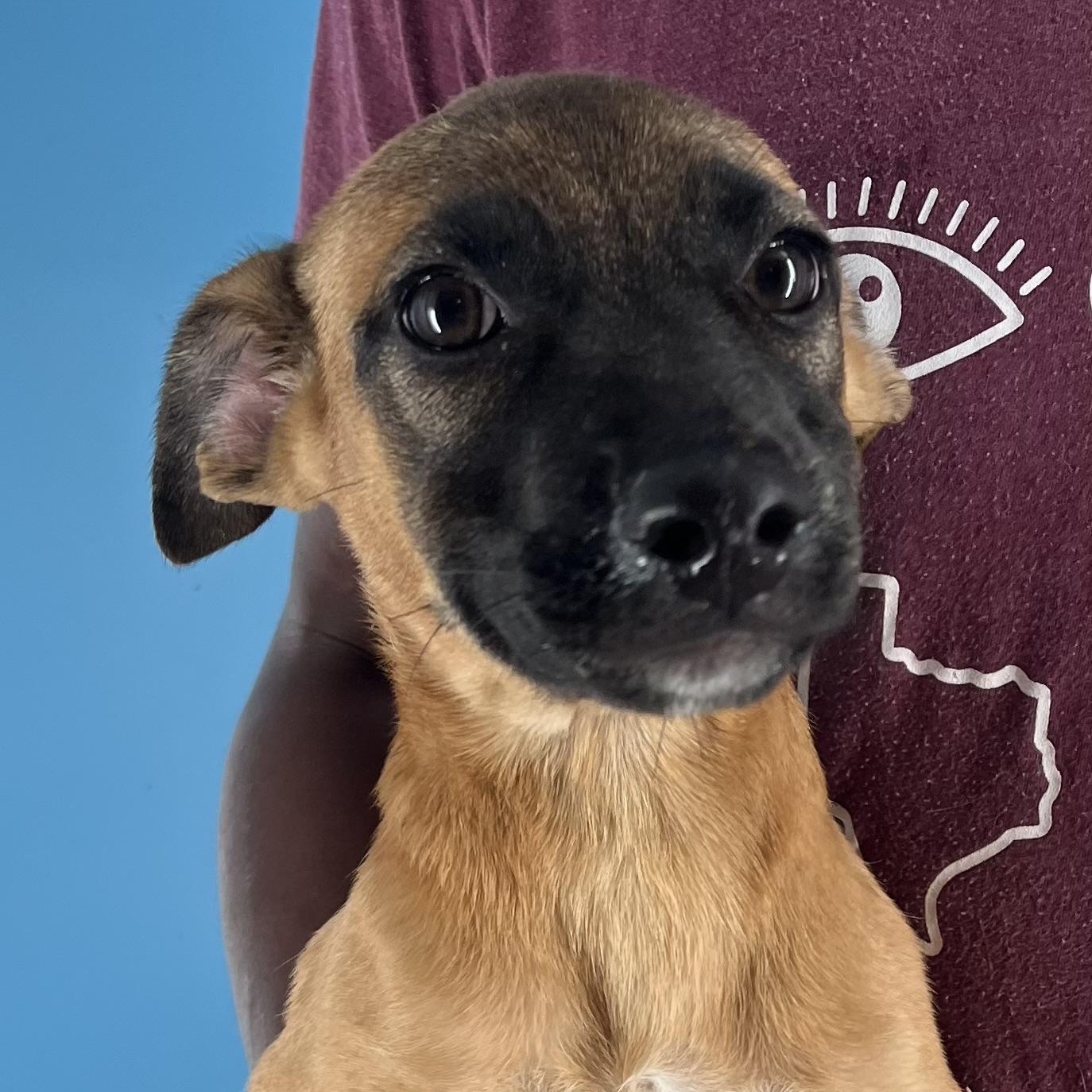 Splish - Local Setp 26-28