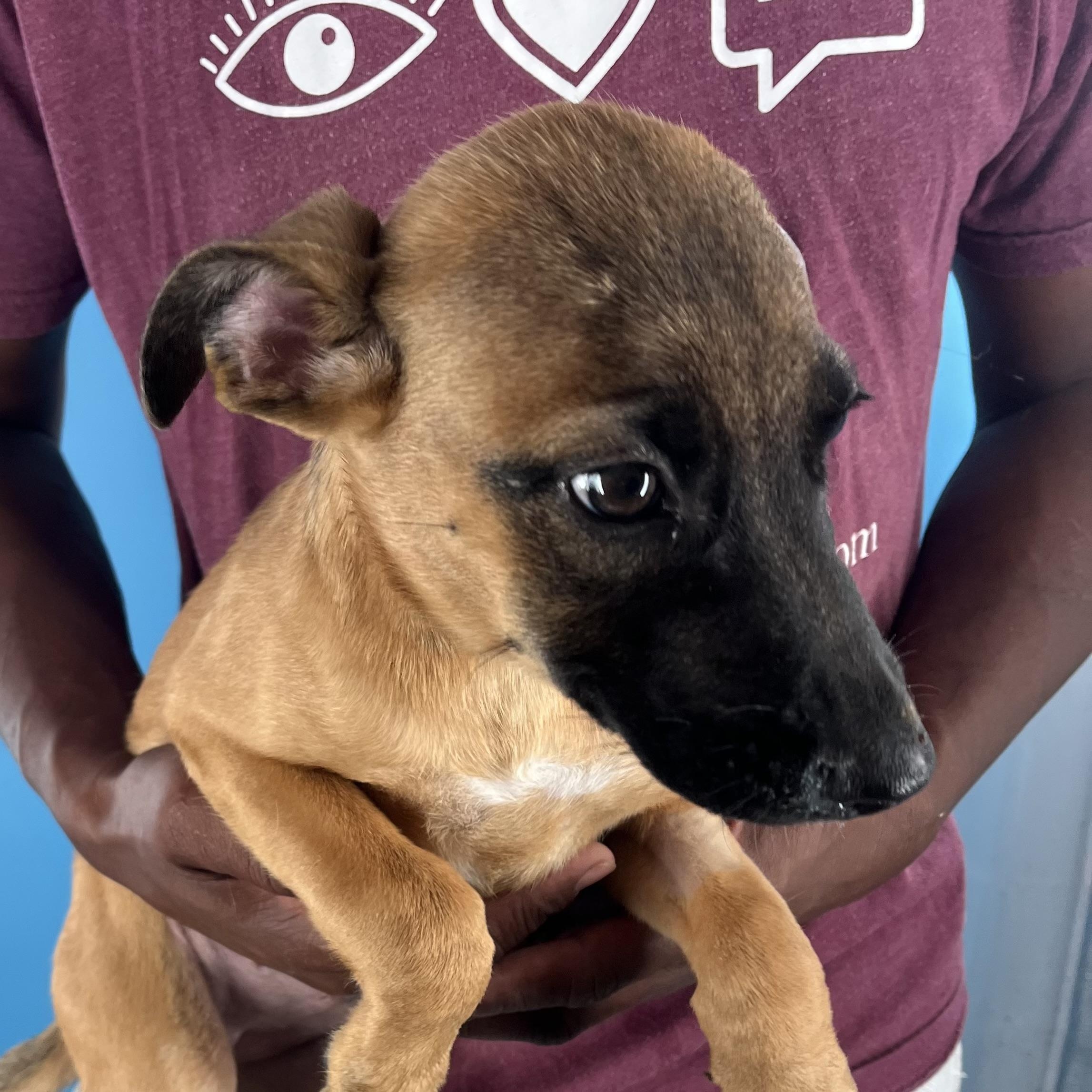 Splish - Local Setp 26-28