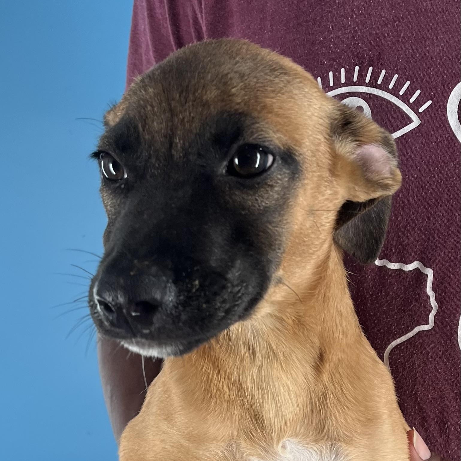 Splish - Local Setp 26-28