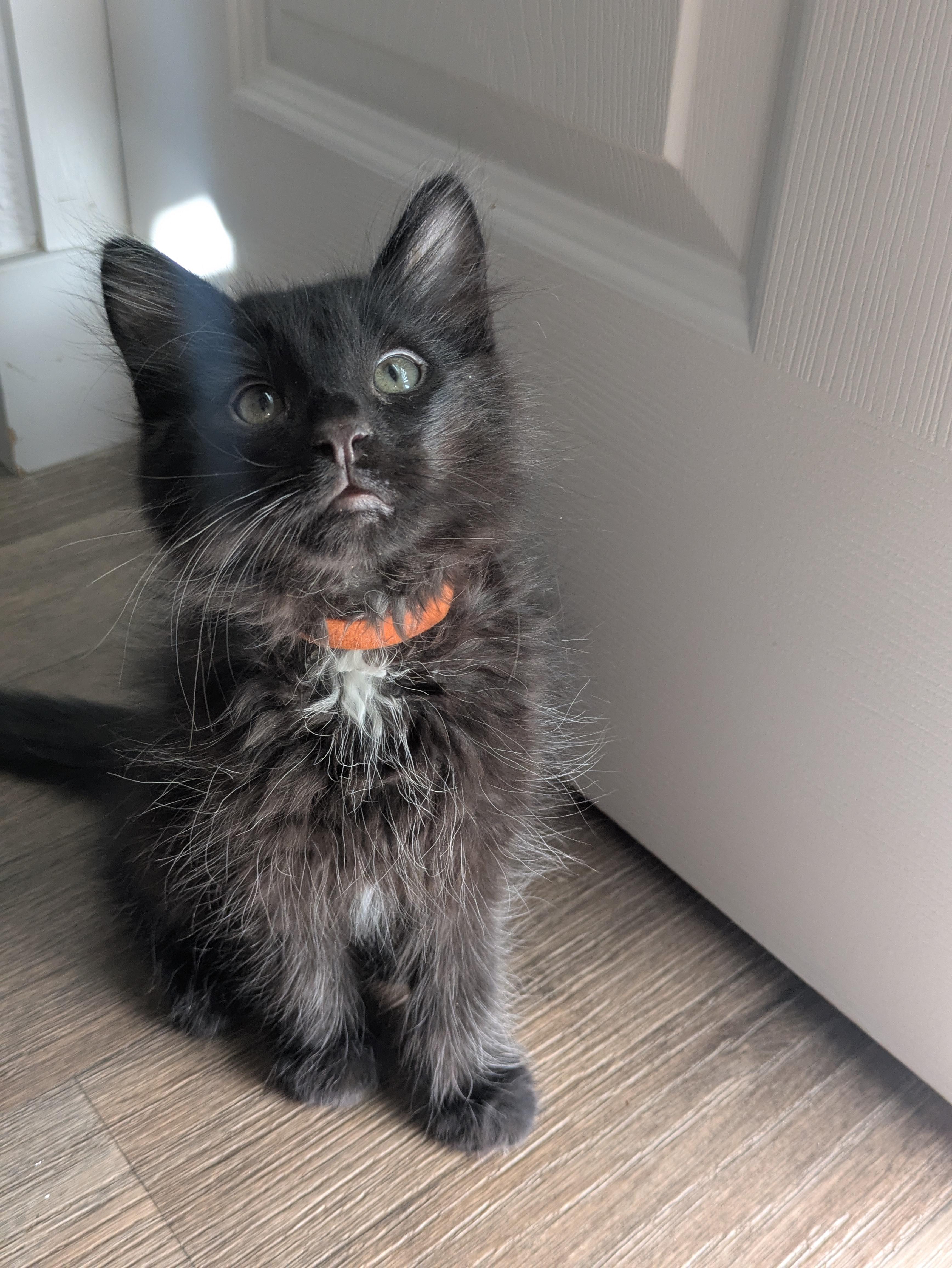 Tai — cool, calm, and confident.