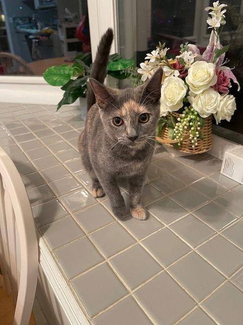 Cat Benatar thumbnail 3