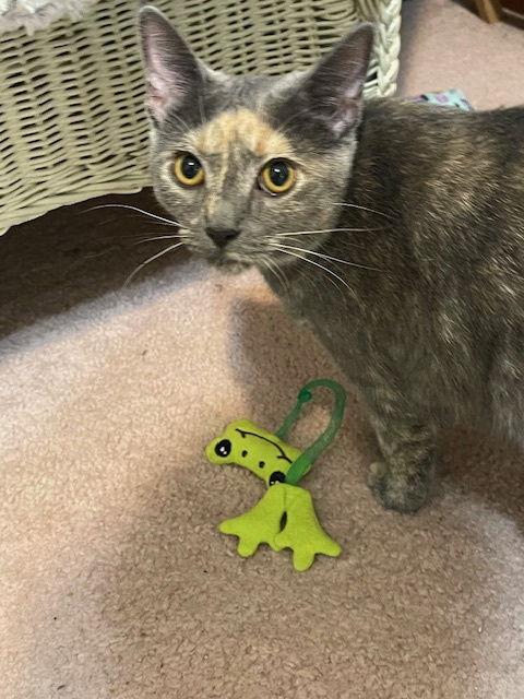 Cat Benatar thumbnail 4