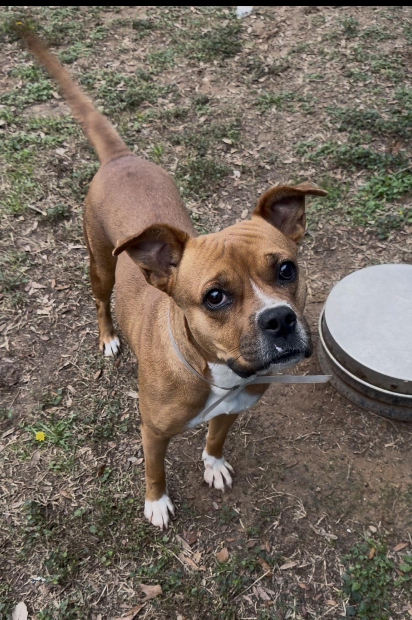 Melany — thumbnail 2