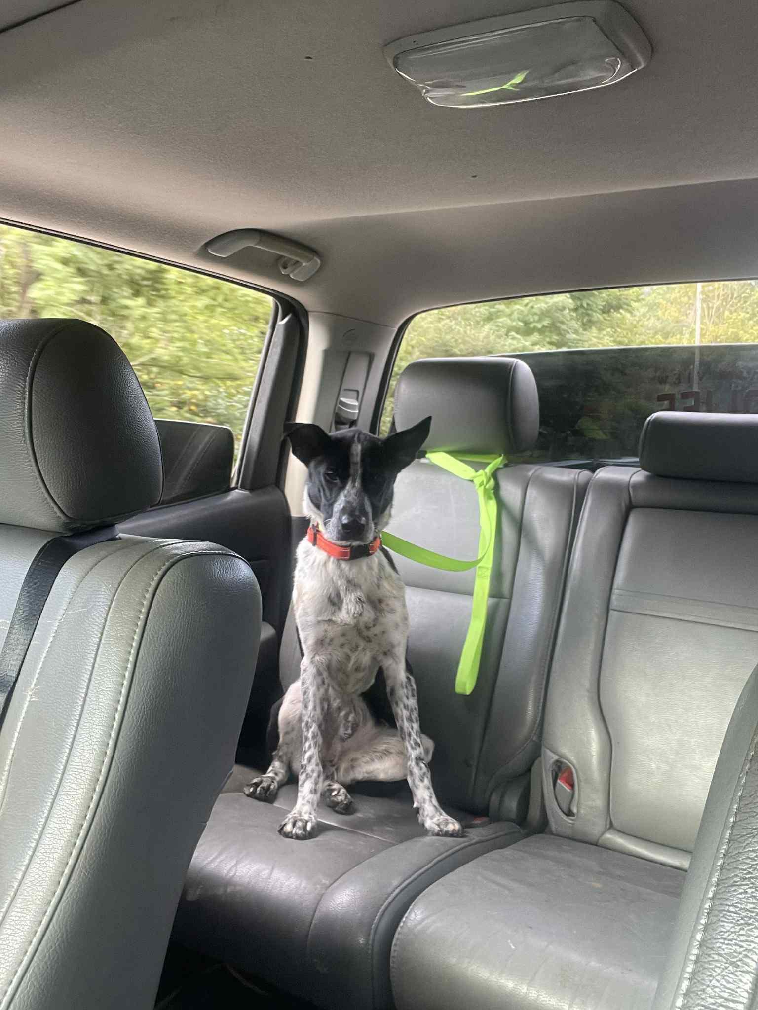 Timmy (20251024-01) — thumbnail 2