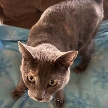 Mindy — thumbnail 2