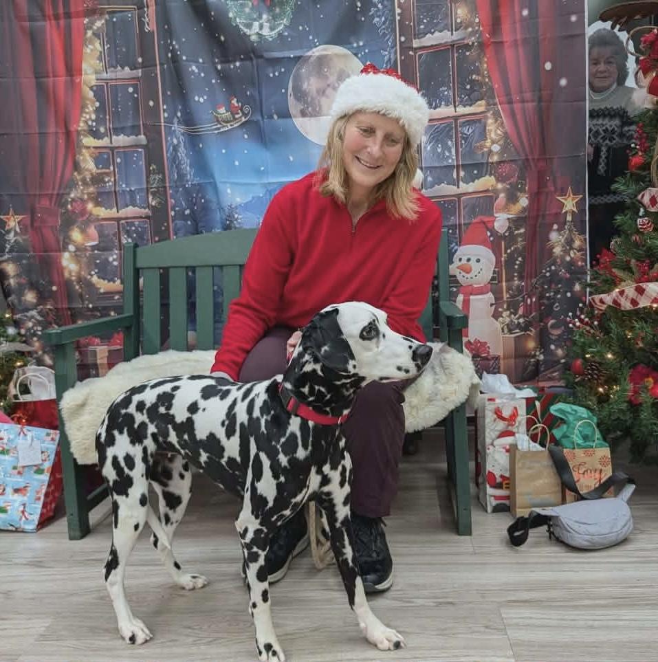 Enlarge Anita, an adopted Dalmatian in Elyria, OH image 2/2