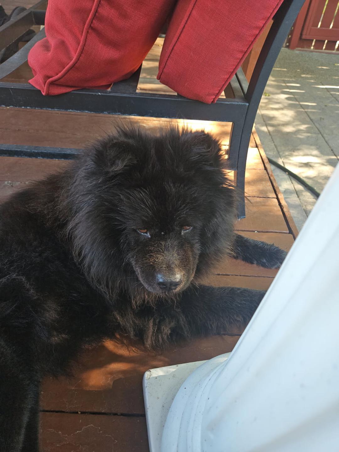 Nala