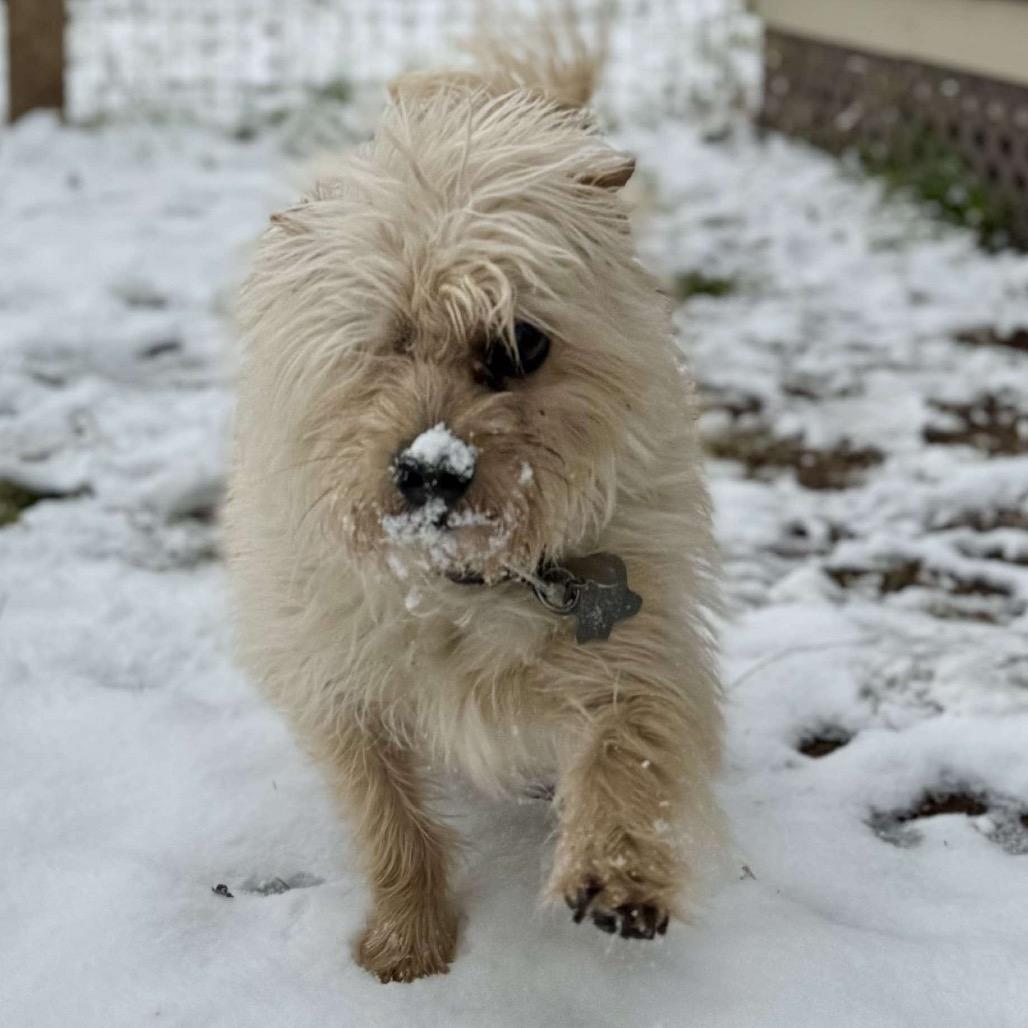 Mylo Eli — thumbnail 5