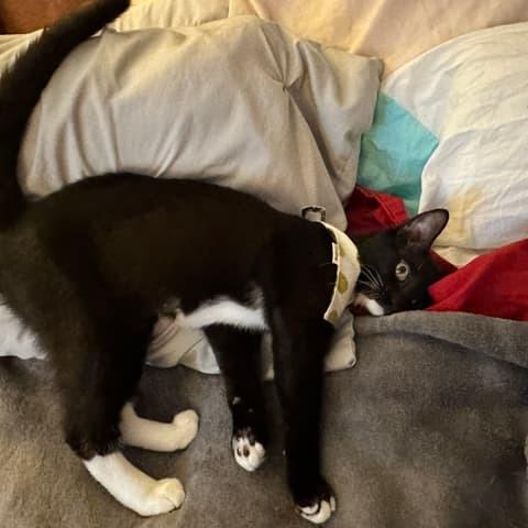 Jaime — thumbnail 3