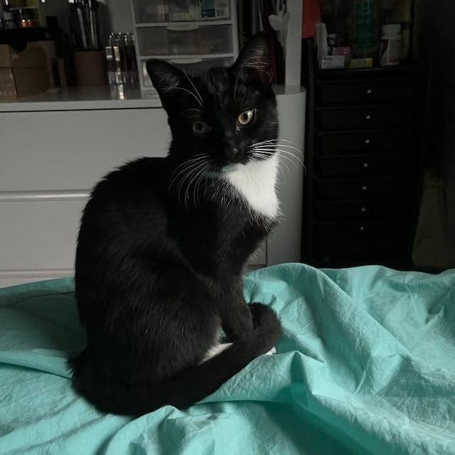 Jaime — thumbnail 4