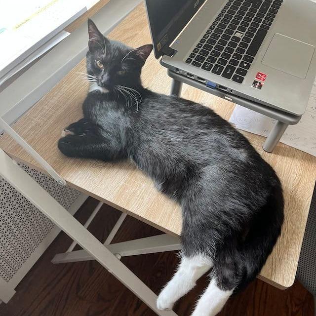 Jaime — thumbnail 5