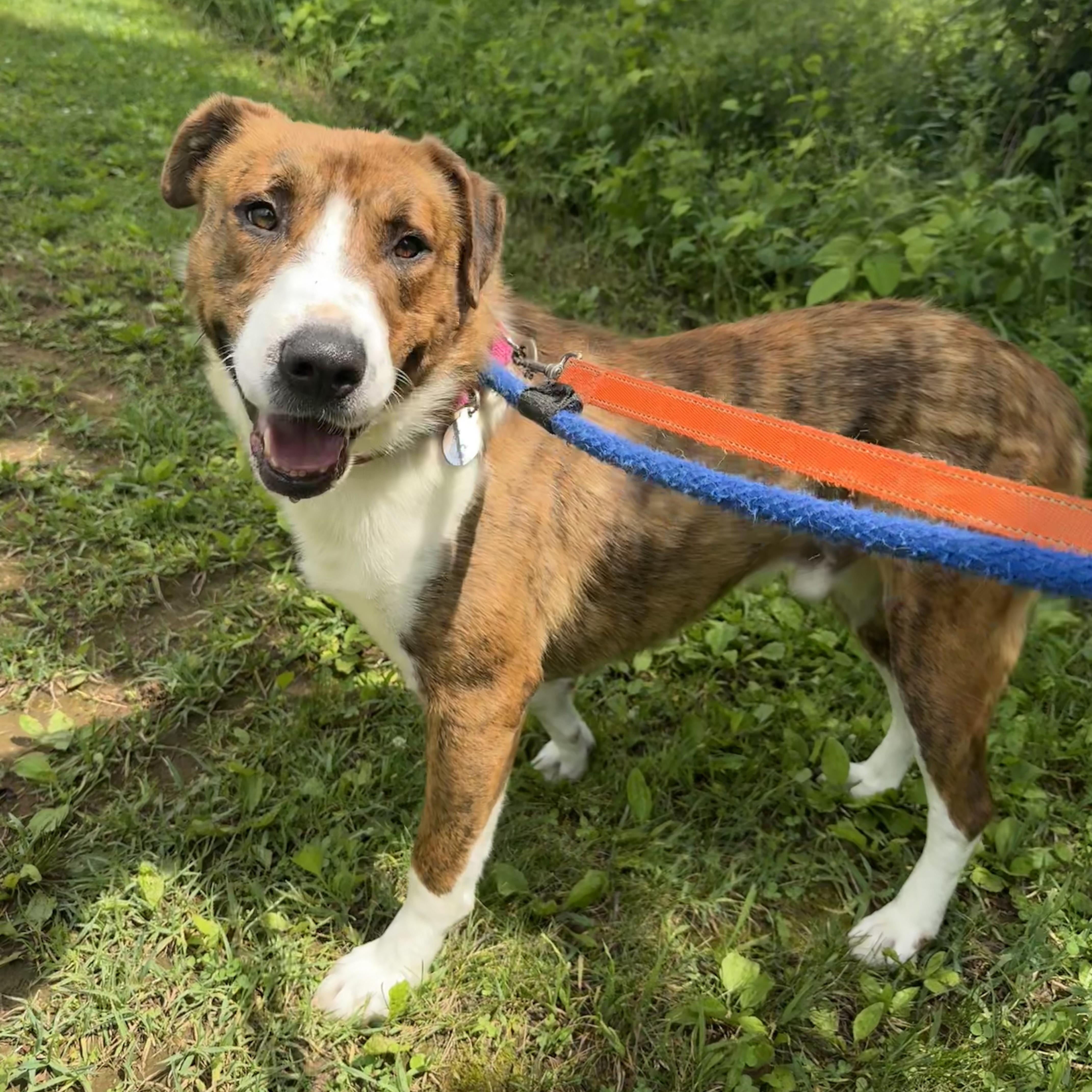 Diego