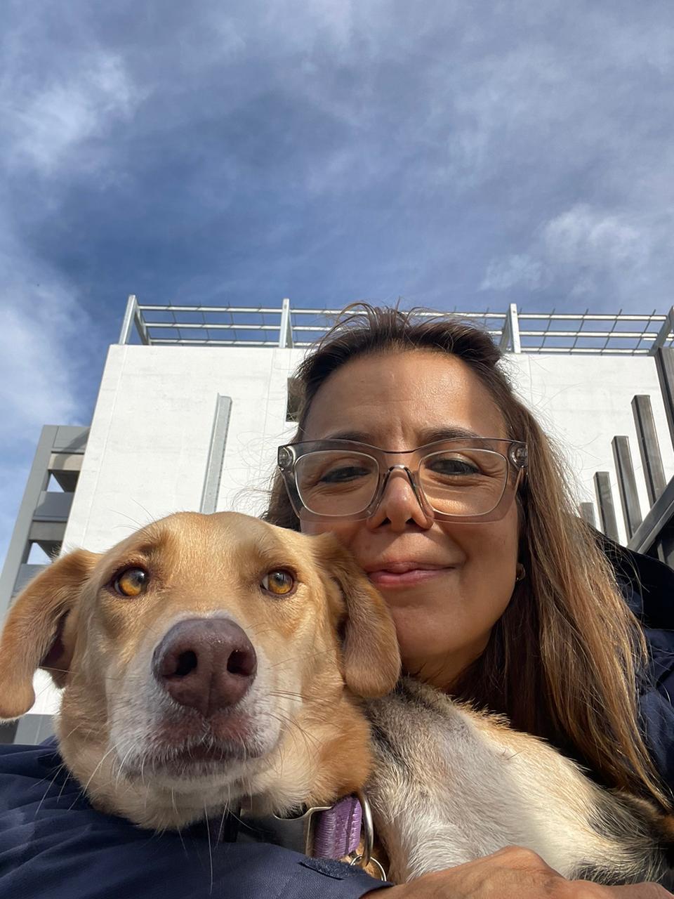 Mando, Adopted, Adult Male Yellow Labrador Retriever & Mixed Breed.