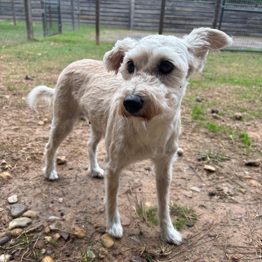 Nancy Wheeler — thumbnail 2