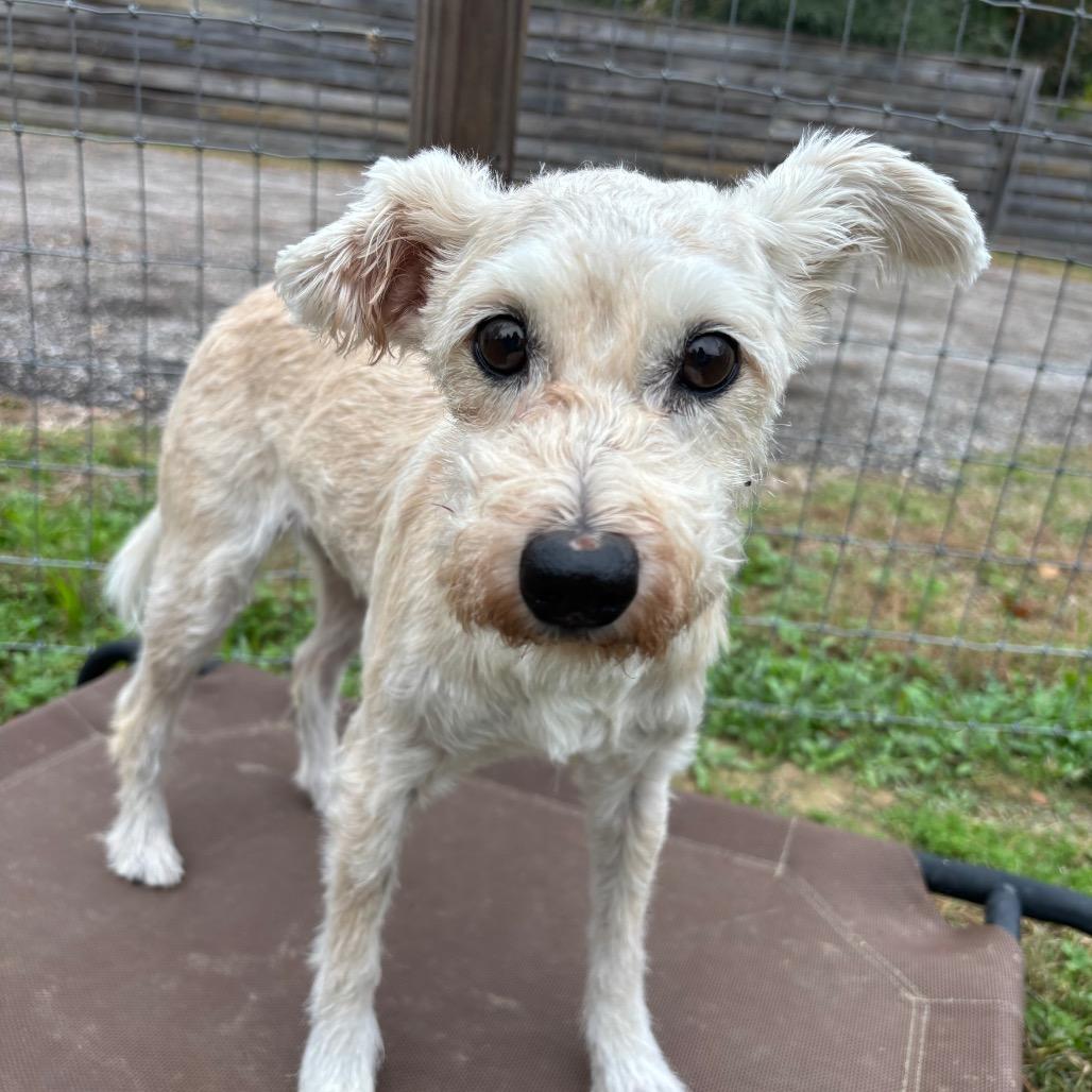 Nancy Wheeler — thumbnail 3