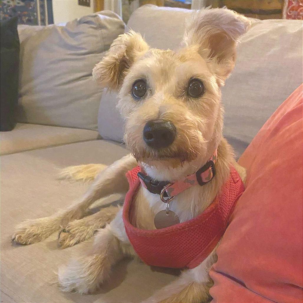 Nancy Wheeler — thumbnail 4