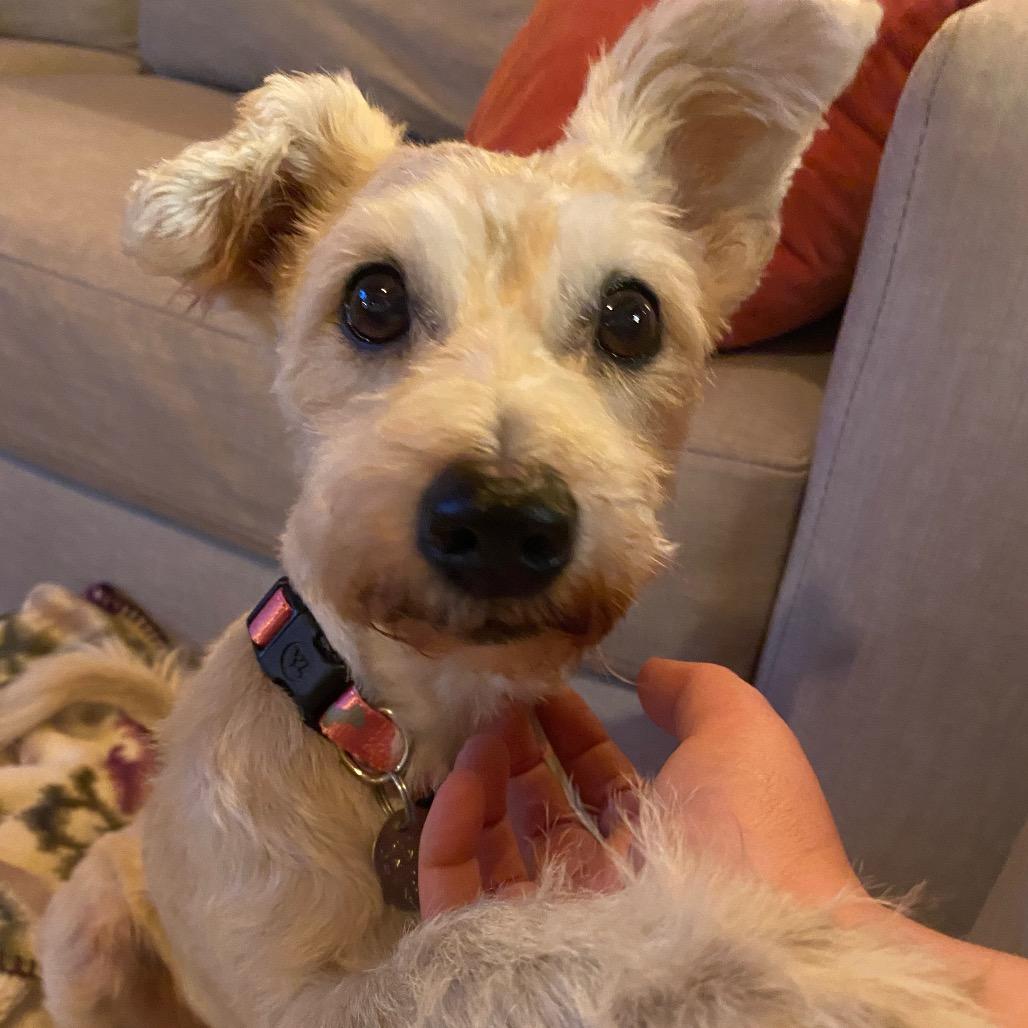 Nancy Wheeler — thumbnail 5