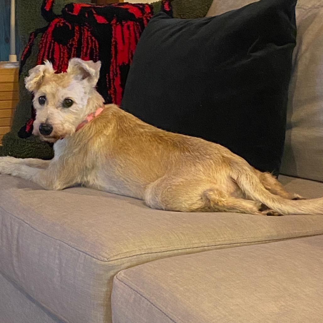 Nancy Wheeler — thumbnail 6