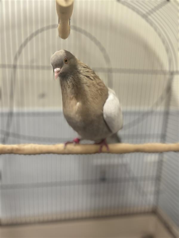 Oscar photo 2