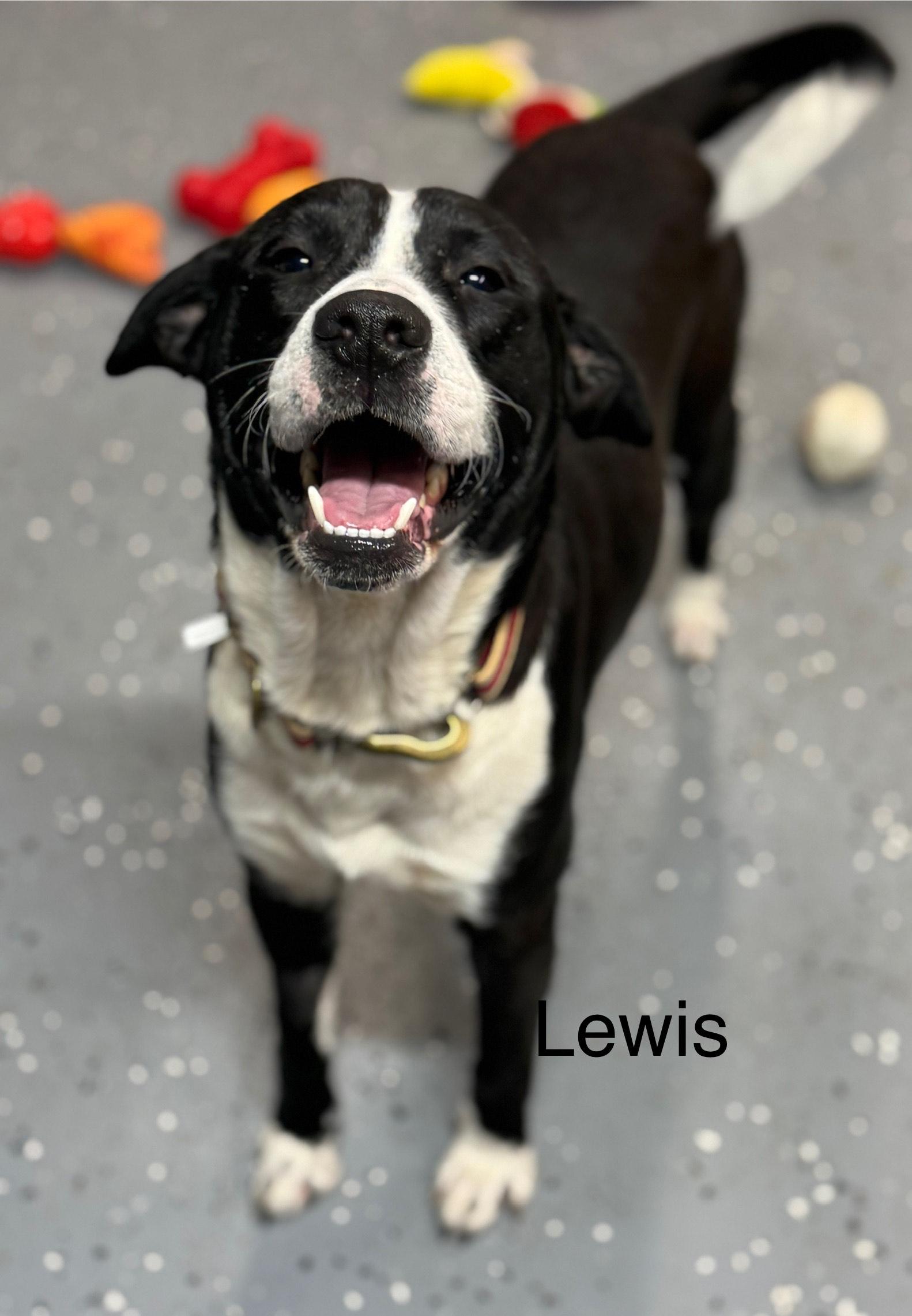 Lewis photo 2