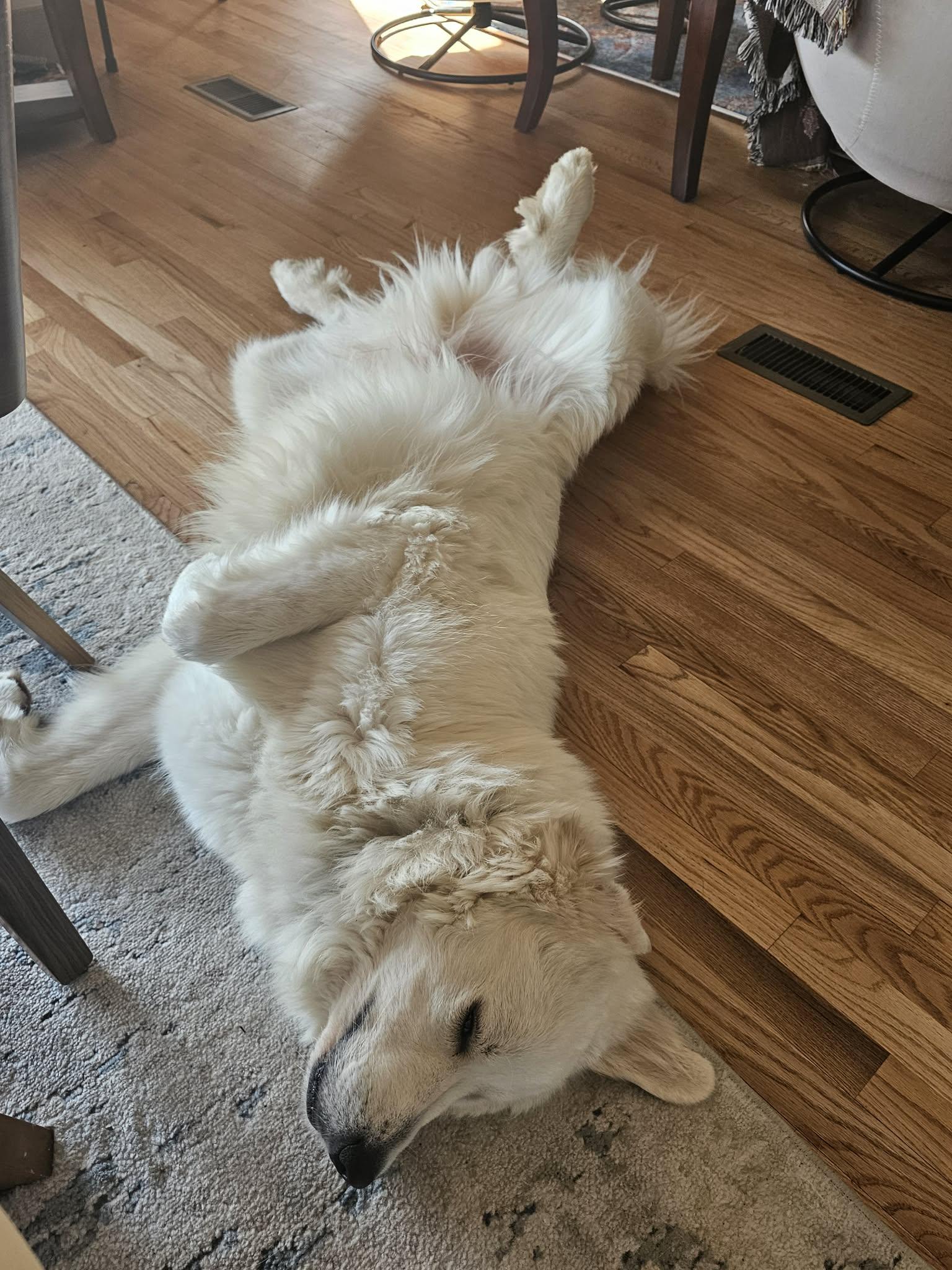 Barlow — thumbnail 3