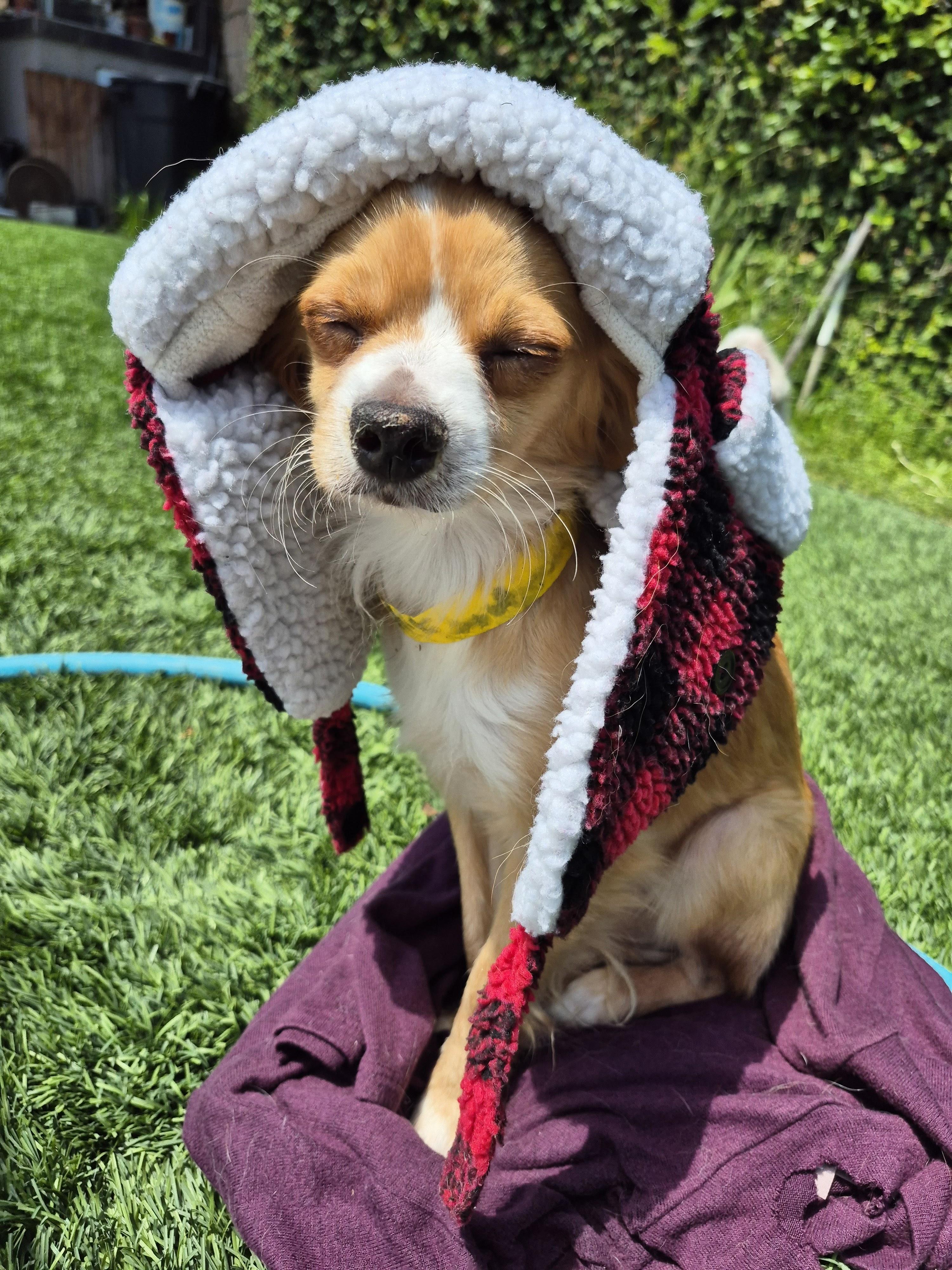 Cinnabon Man! thumbnail 6