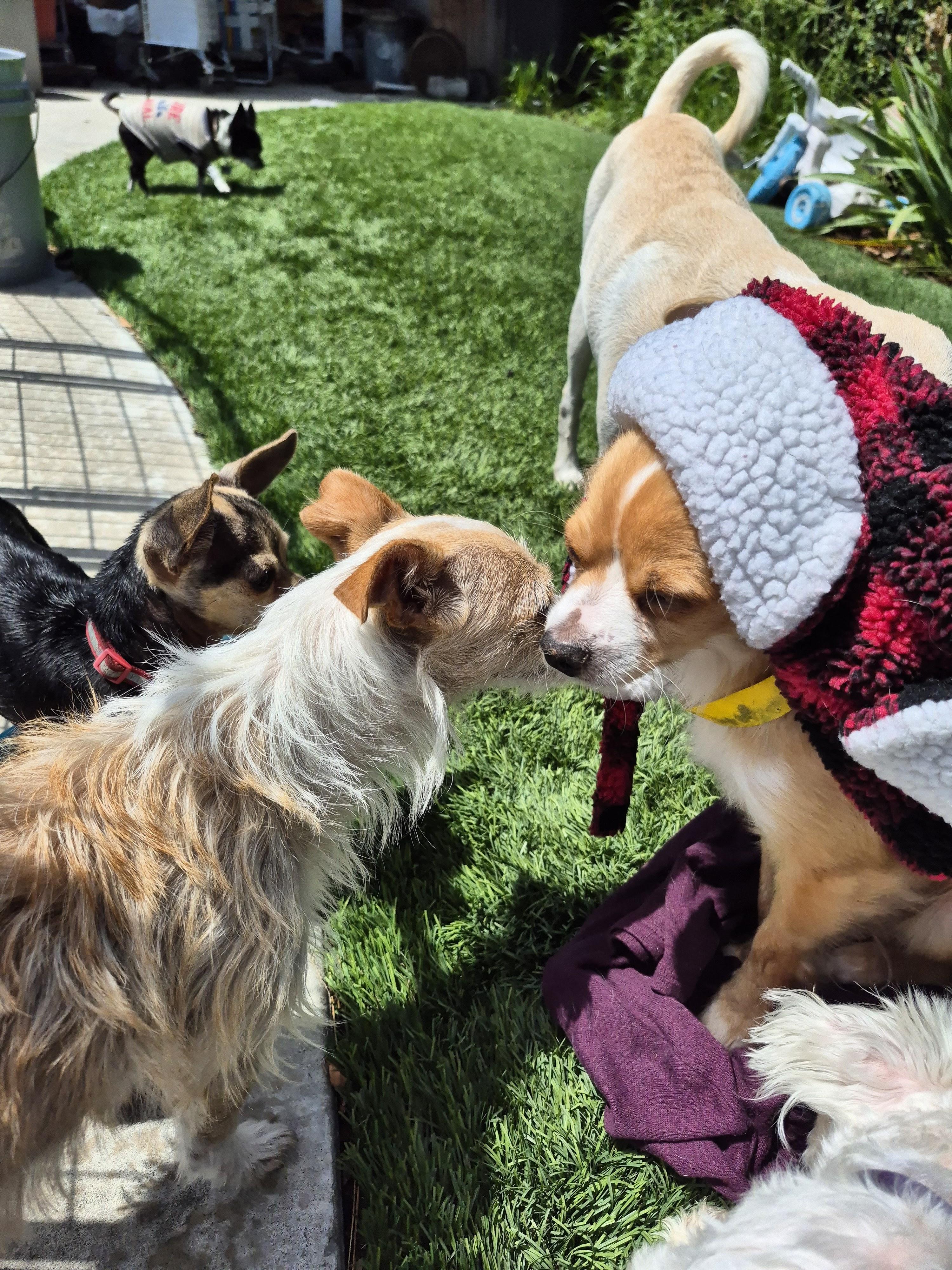 Cinnabon Man! thumbnail 7