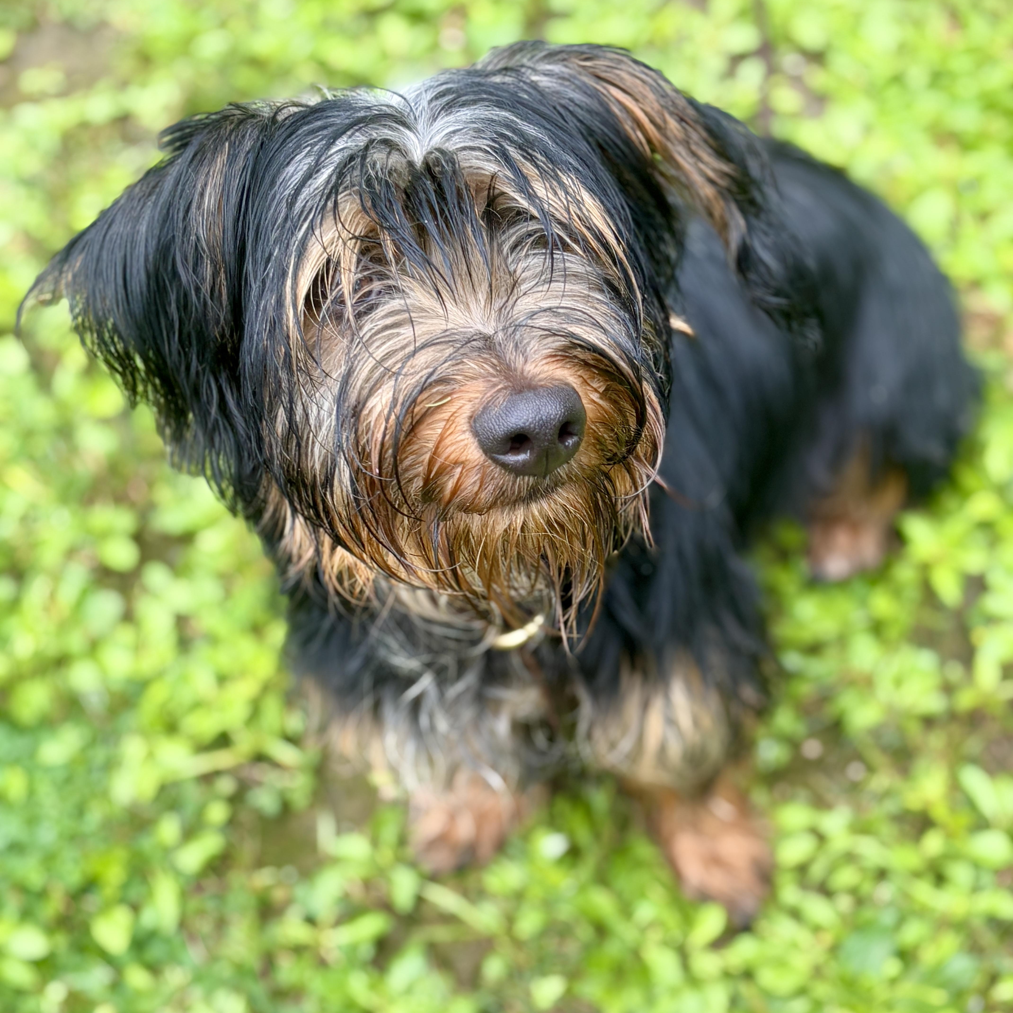 Photo of Sammy