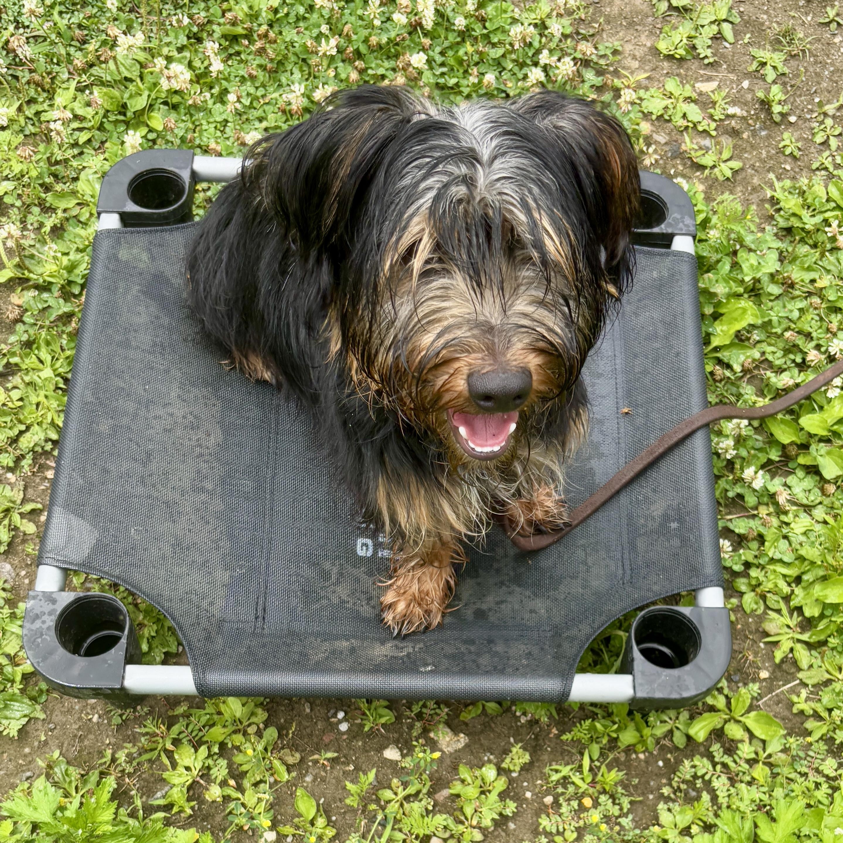 Photo of Sammy
