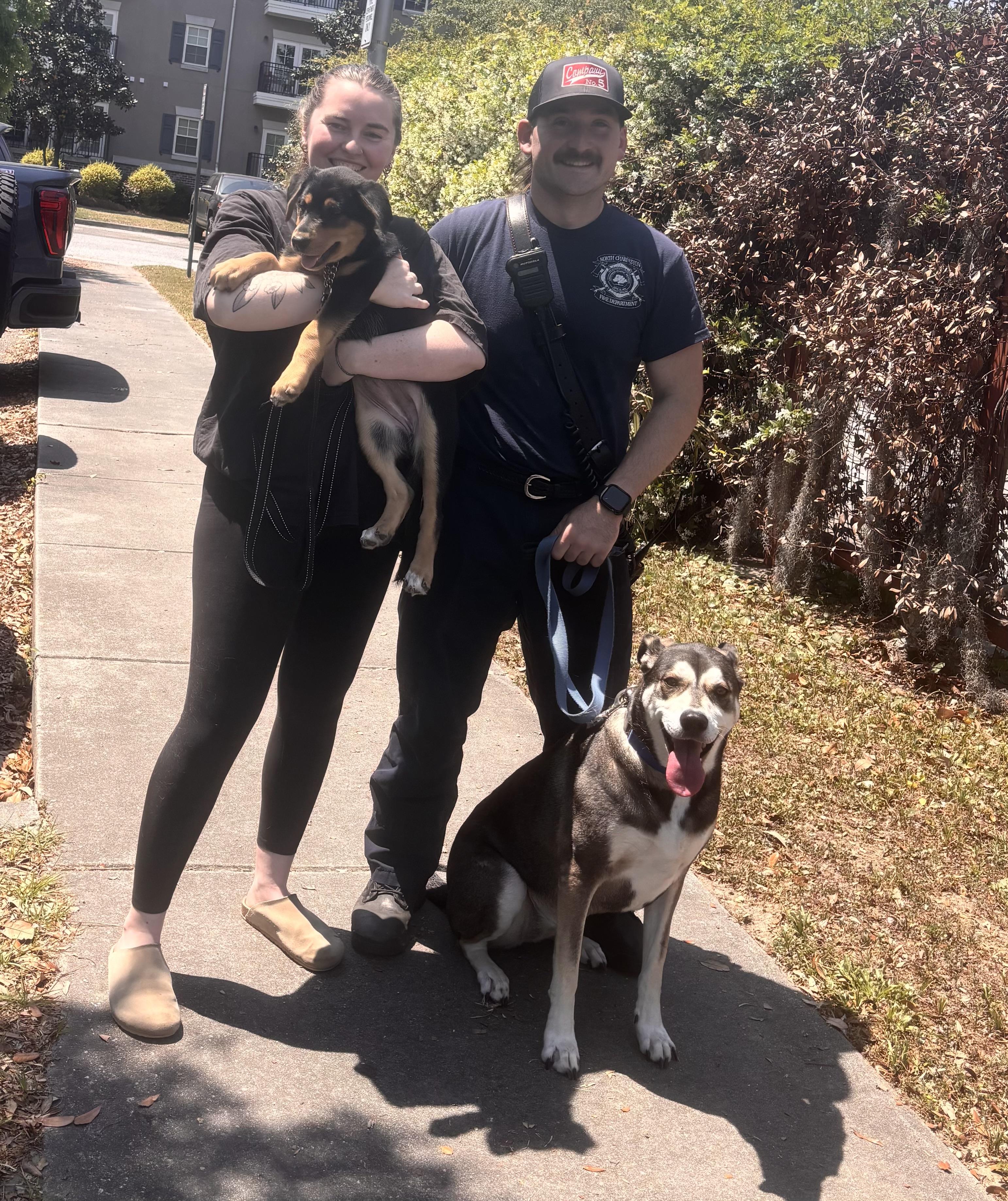 Max , an adopted mixed breed in Mt Pleasant, SC image 6/6
