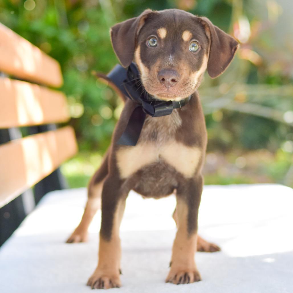 James Bond — thumbnail 2