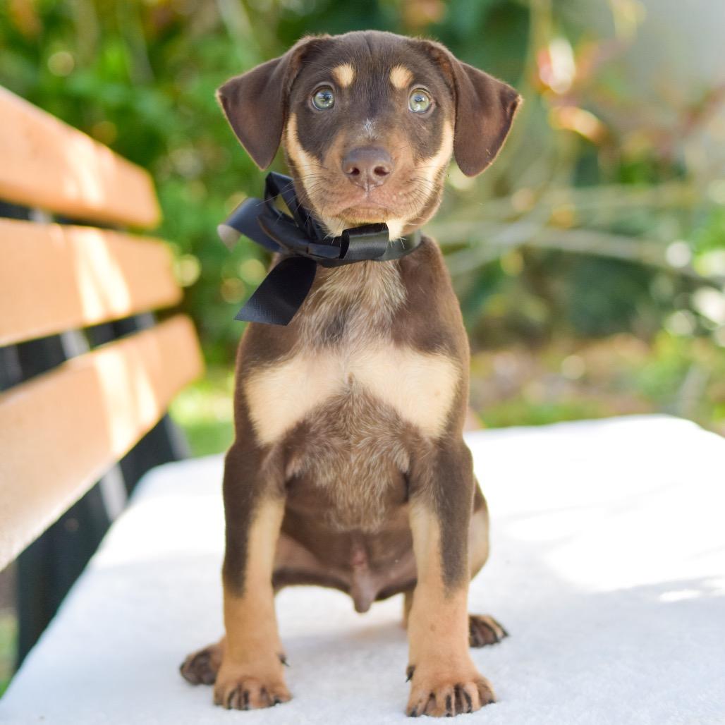 James Bond — thumbnail 3