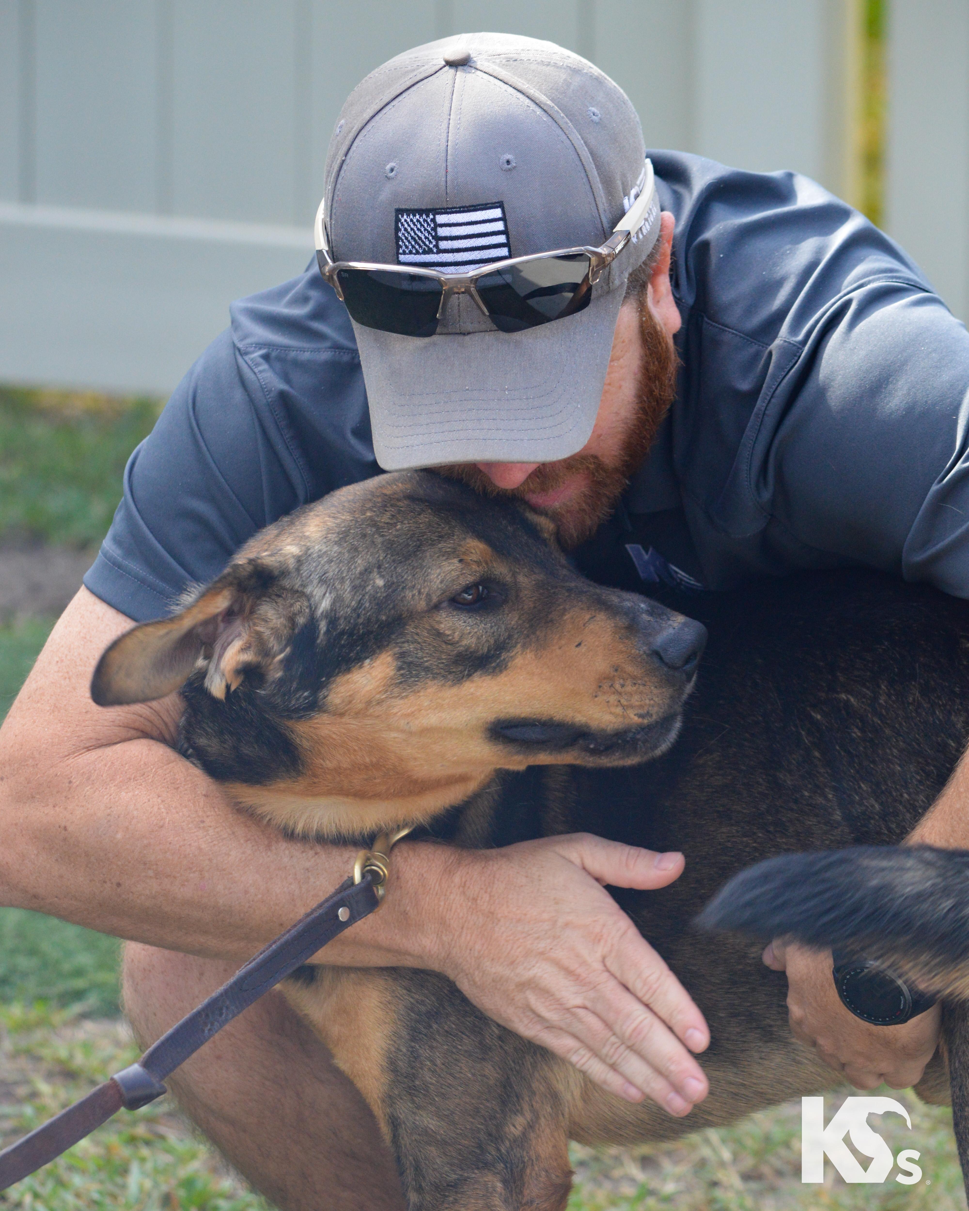 Enlarge Bridger, a Adoptable mixed breed in Ponte Vedra, FL image 5/6