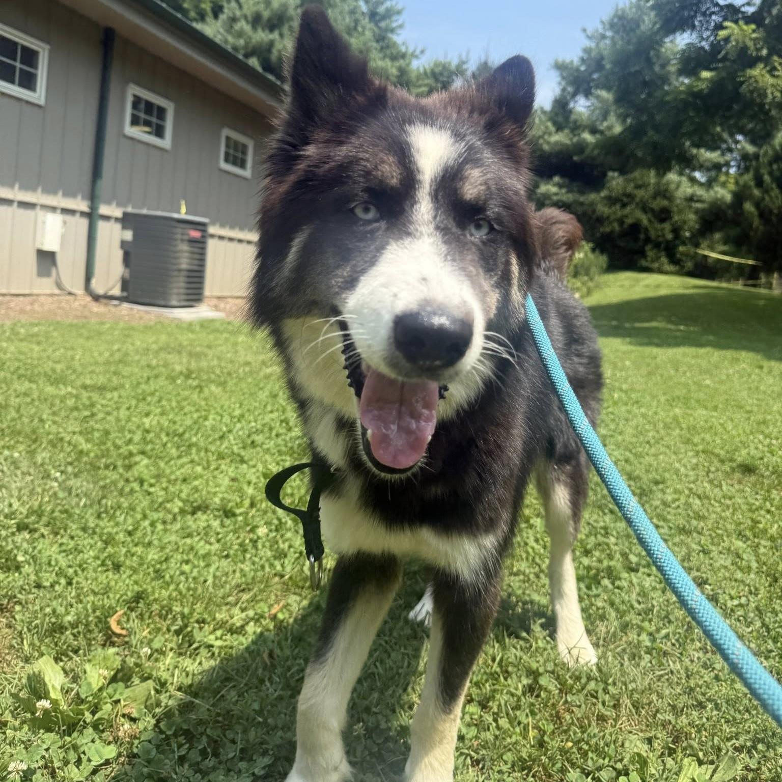 Yukon