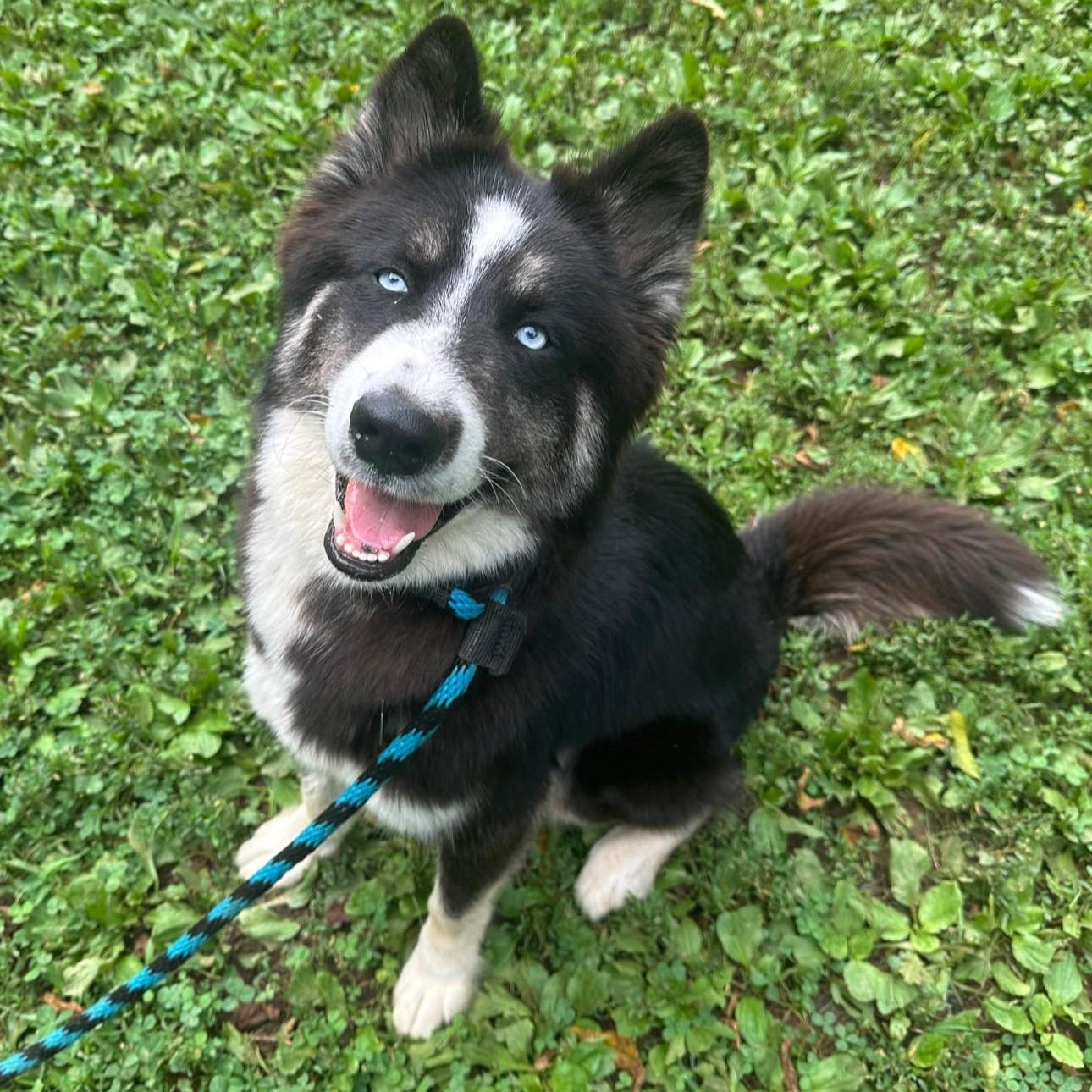 Yukon