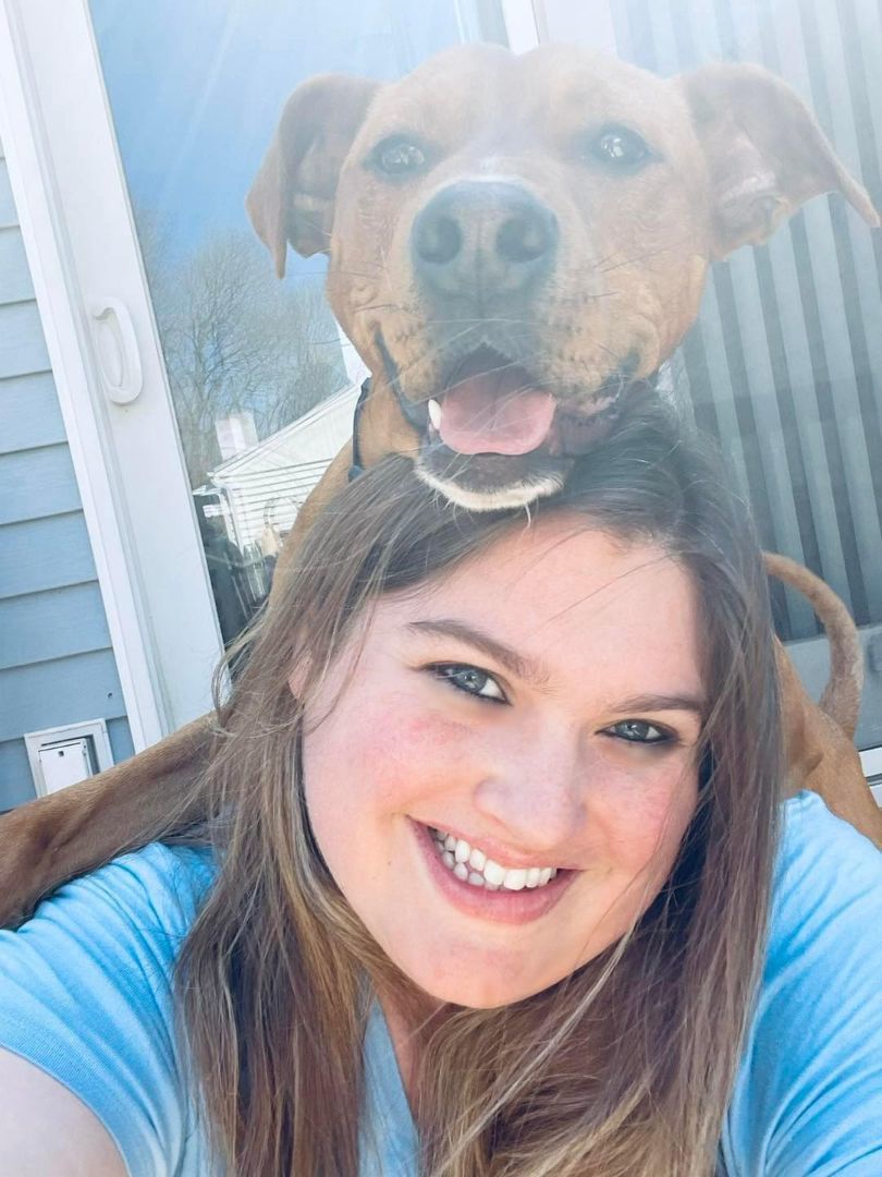 Marco, a Adoptable mixed breed in Bethel, CT image 4/6