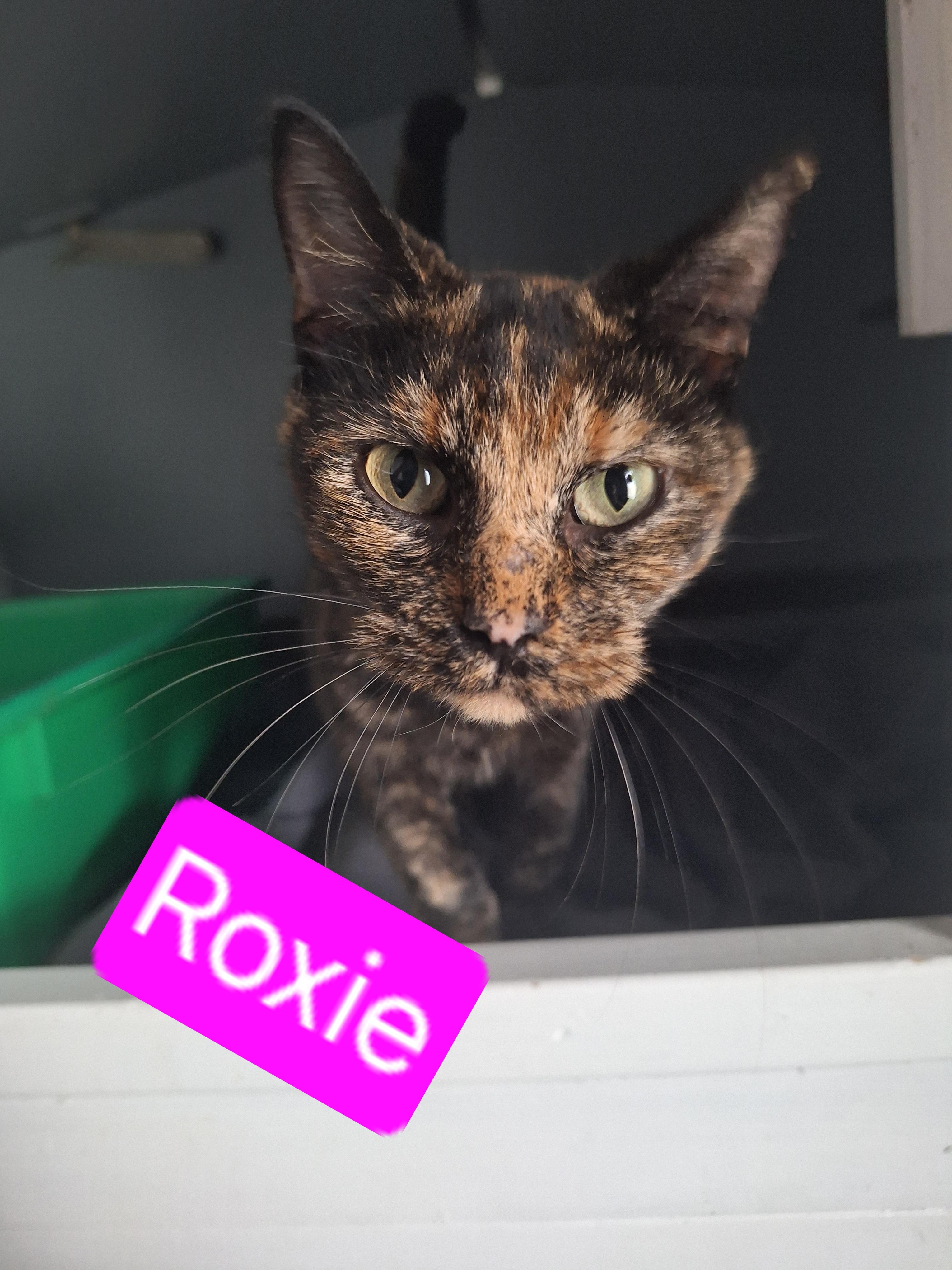 Roxie