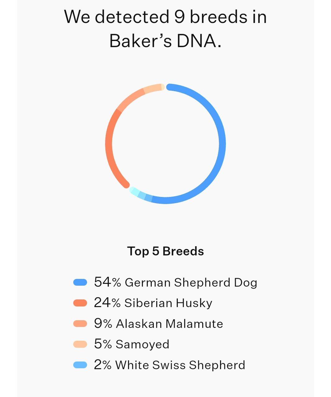 Enlarge Baker, a Adoptable mixed breed in St. Ignace, MI image 6/6