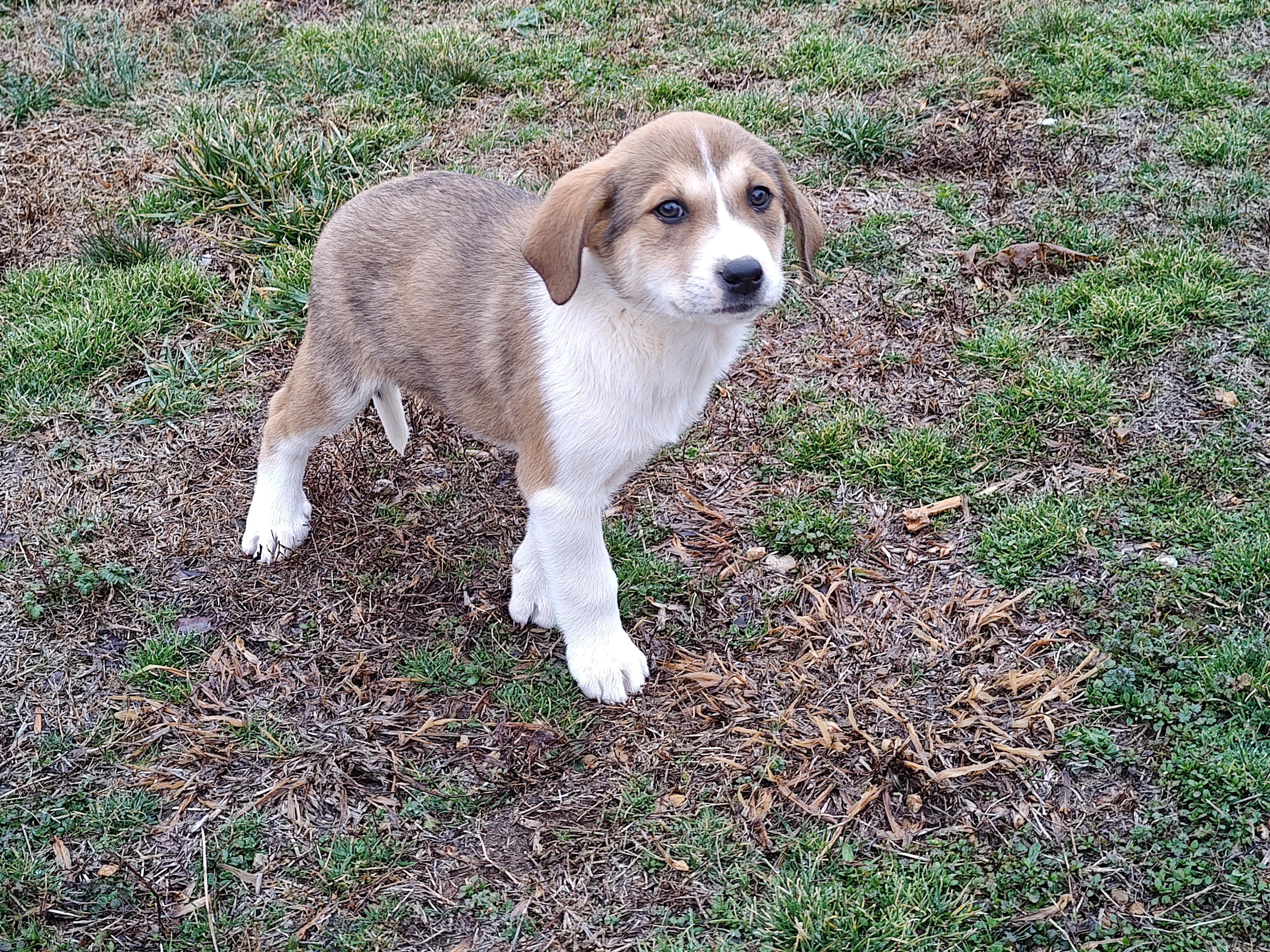 Jordan Olympians — thumbnail 3