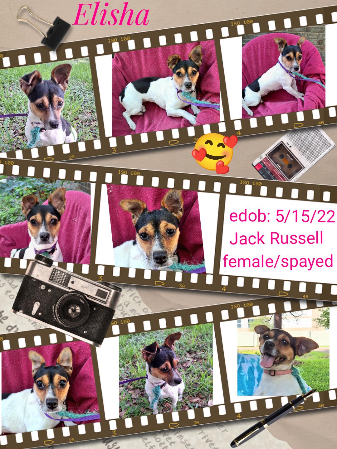 Elisha CO13867-Thw 5