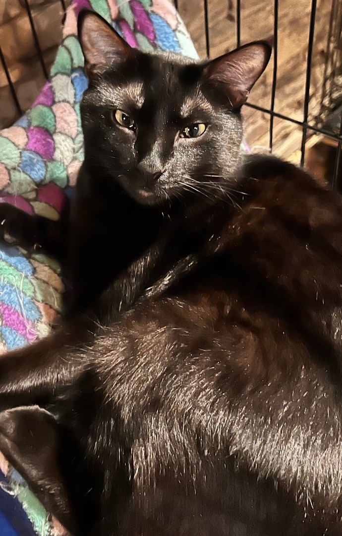 Magnus And Flower thumbnail 2